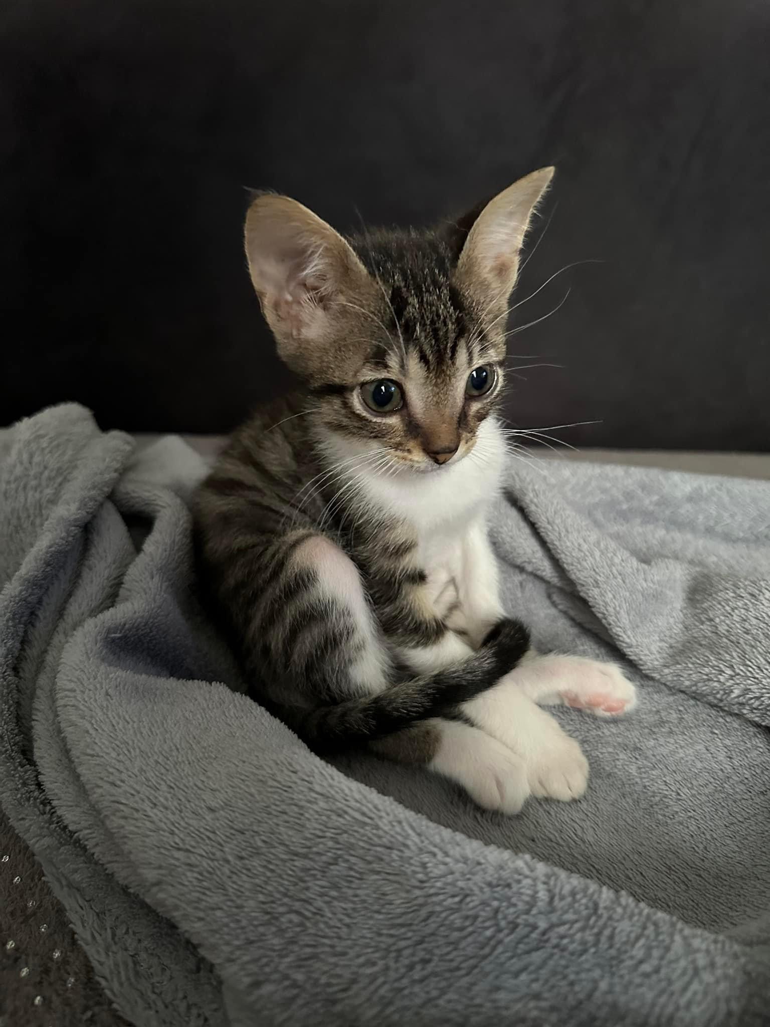 Ursula