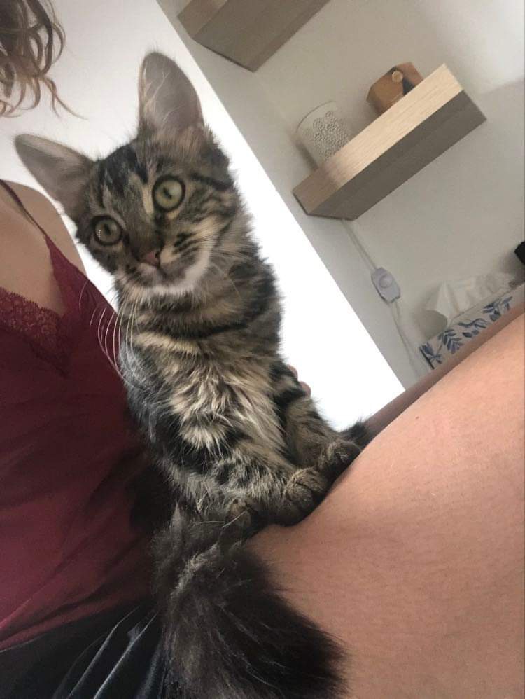 Rosie