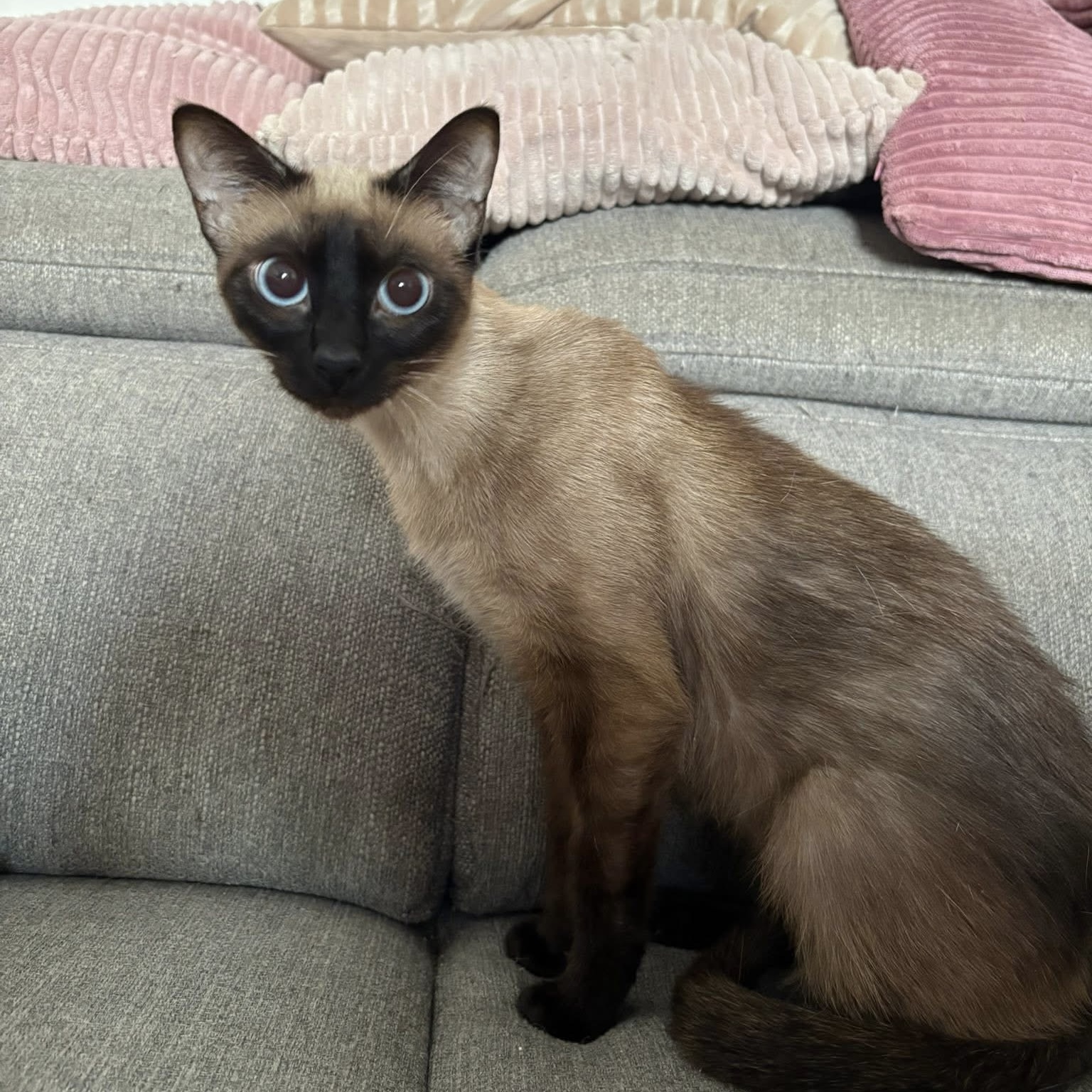 Akasha