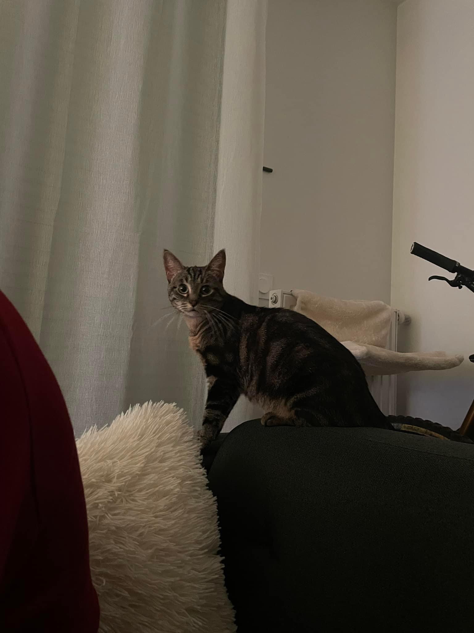 Tom